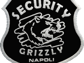 Logo Vigilanza e Sicurezza Grizzly Security