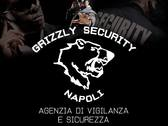GRIZZLY SECURITY s.r.l.s.